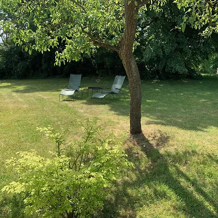 Villa Design Uckermark Mit Riesigem Garten Ferdinandshof